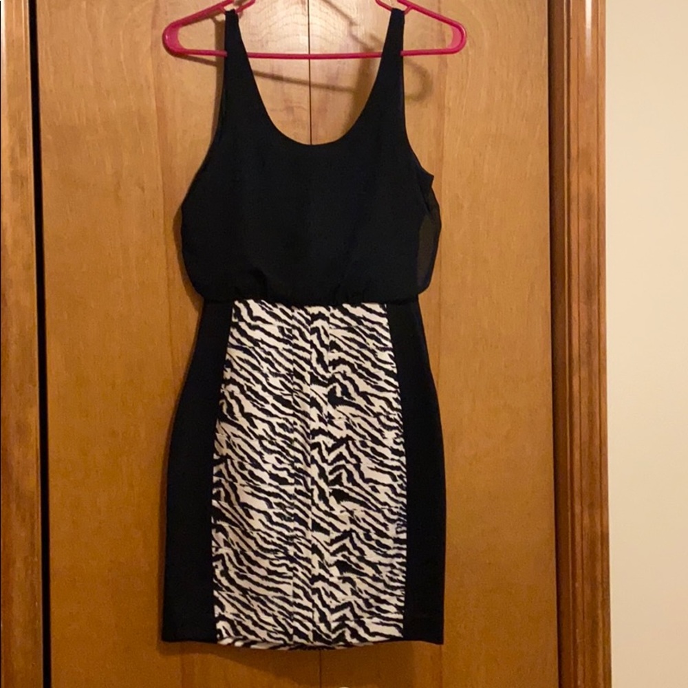 Express Dress - Picture 5 of 6